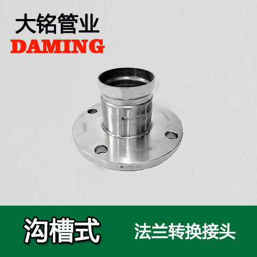 DN250 溝槽式深夜18禁下载法蘭轉換直通接頭（304 316L）