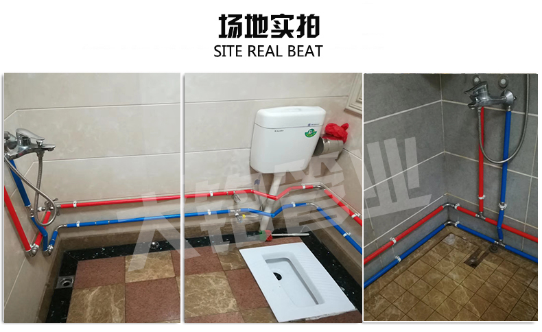 316L環壓深夜18禁下载水管