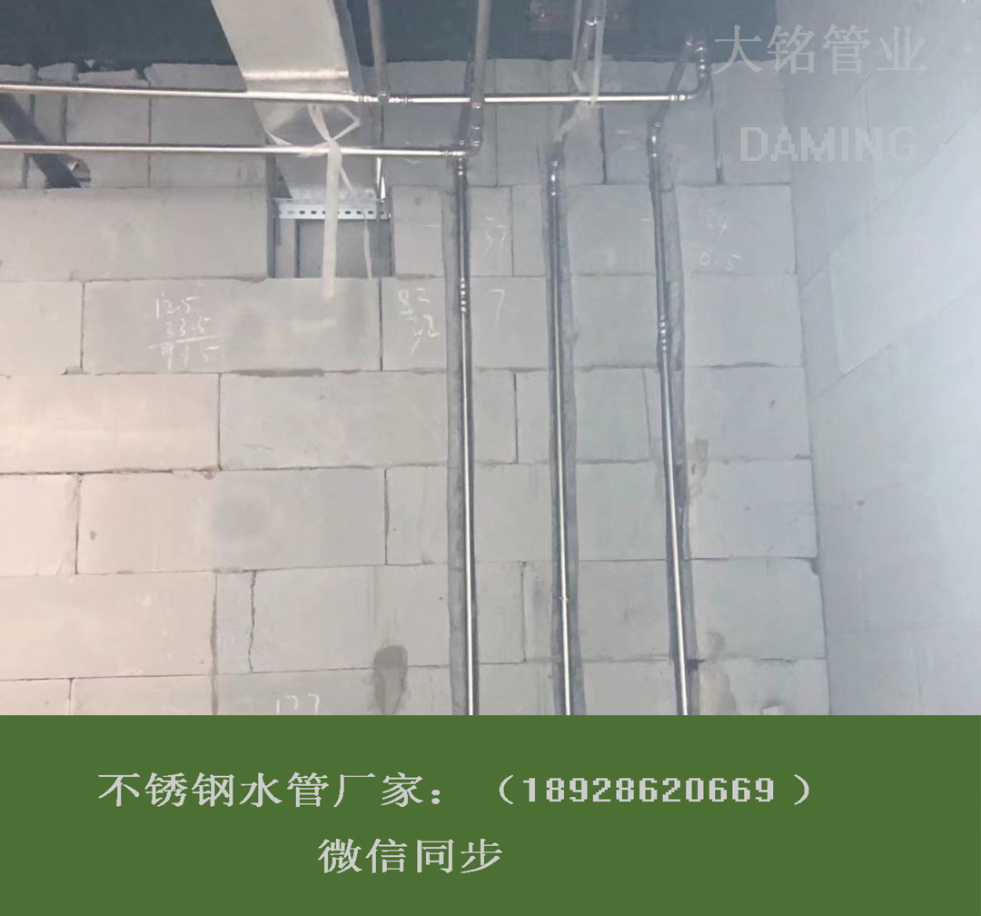 深夜18禁下载水管