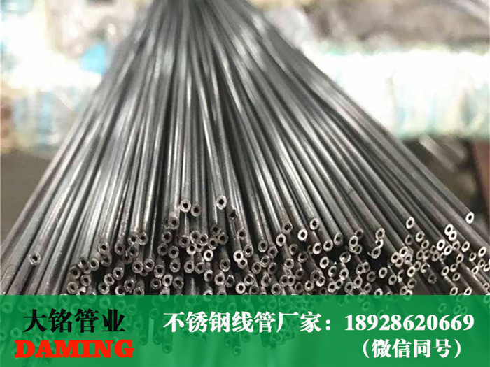 深夜18禁下载穿線管