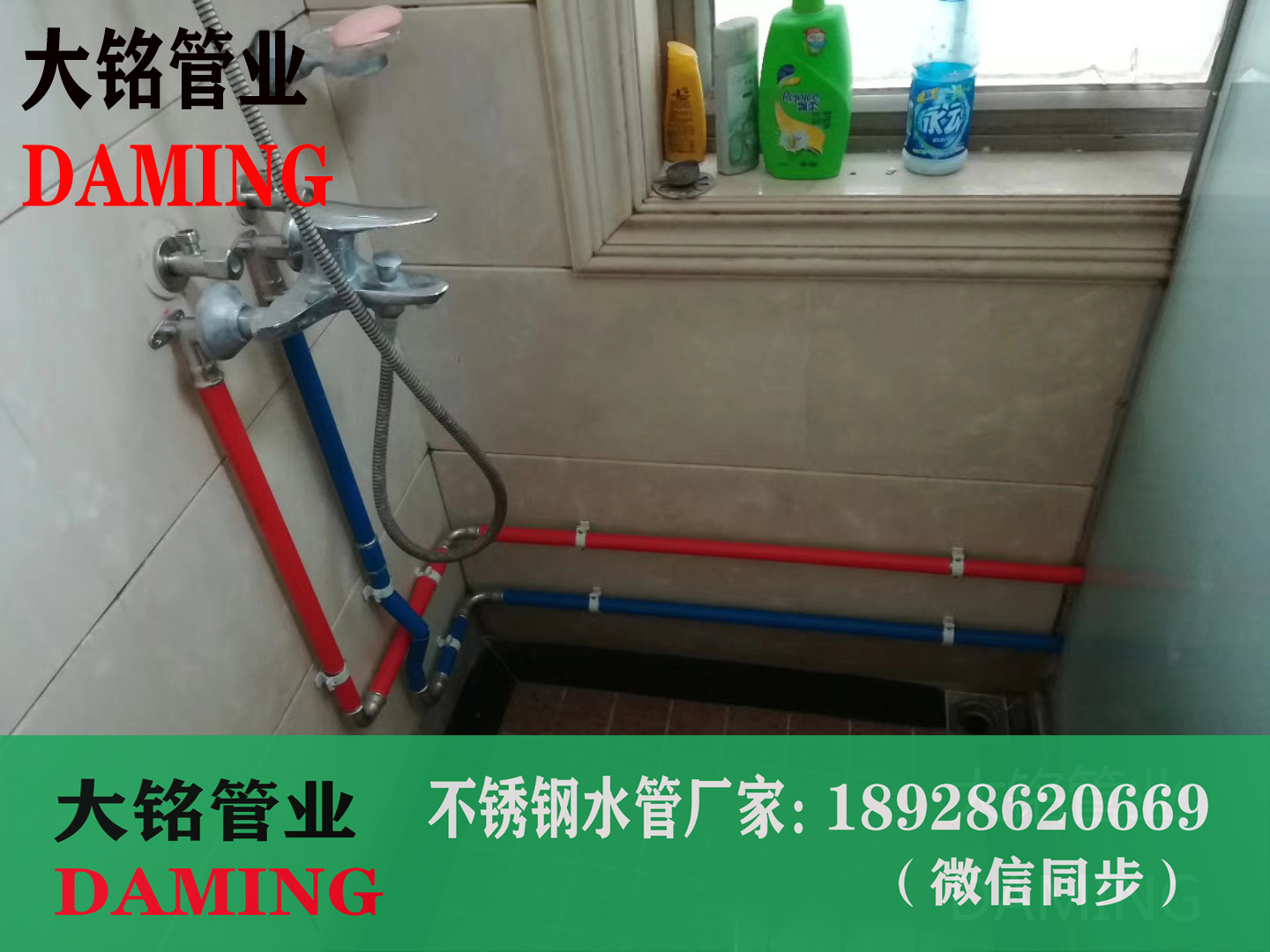 深夜18禁下载環壓管