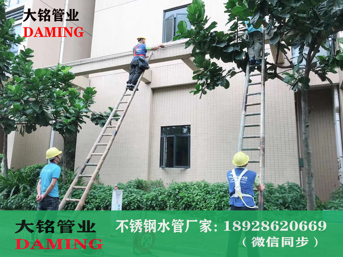 深夜18禁下载集水器