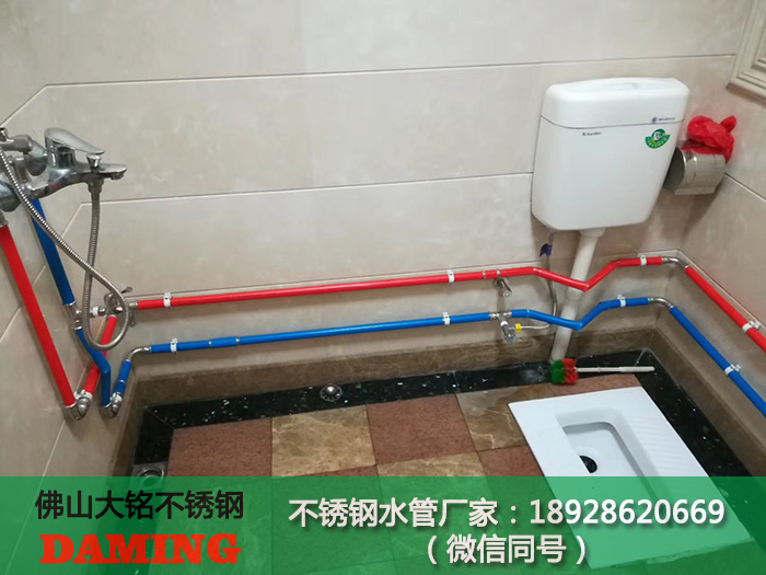 深夜18禁下载排水成人深夜直播APP