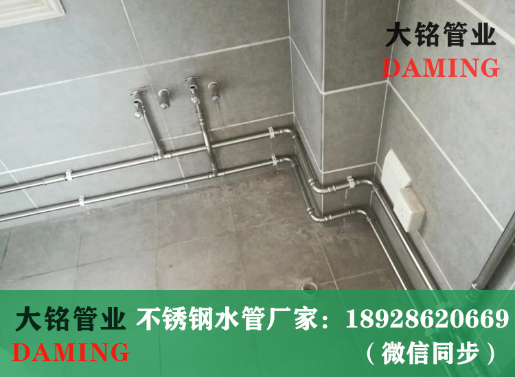 316L薄壁深夜18禁下载水管