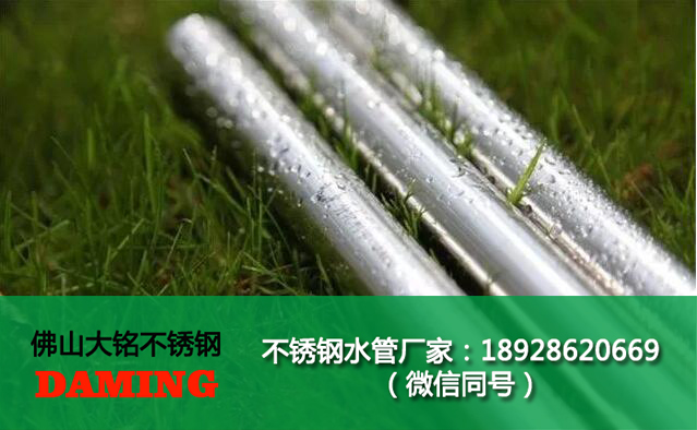 316深夜18禁下载卡壓管