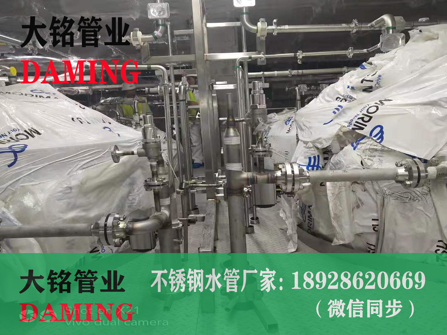 304深夜18禁下载法蘭