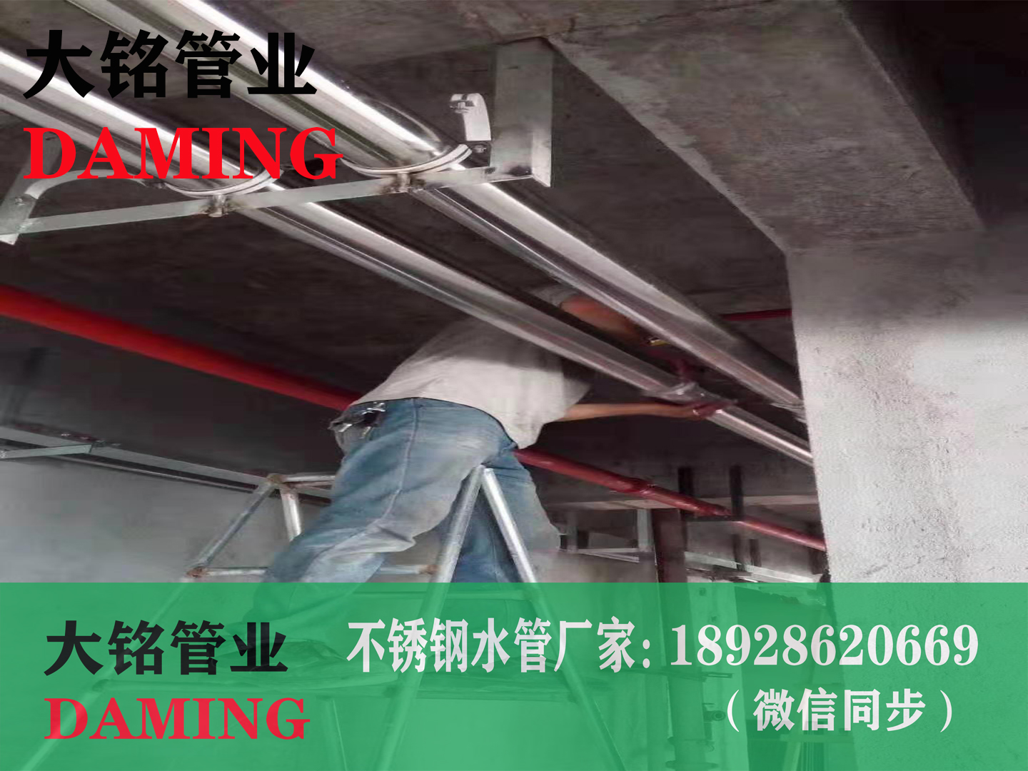 薄壁深夜18禁下载管道