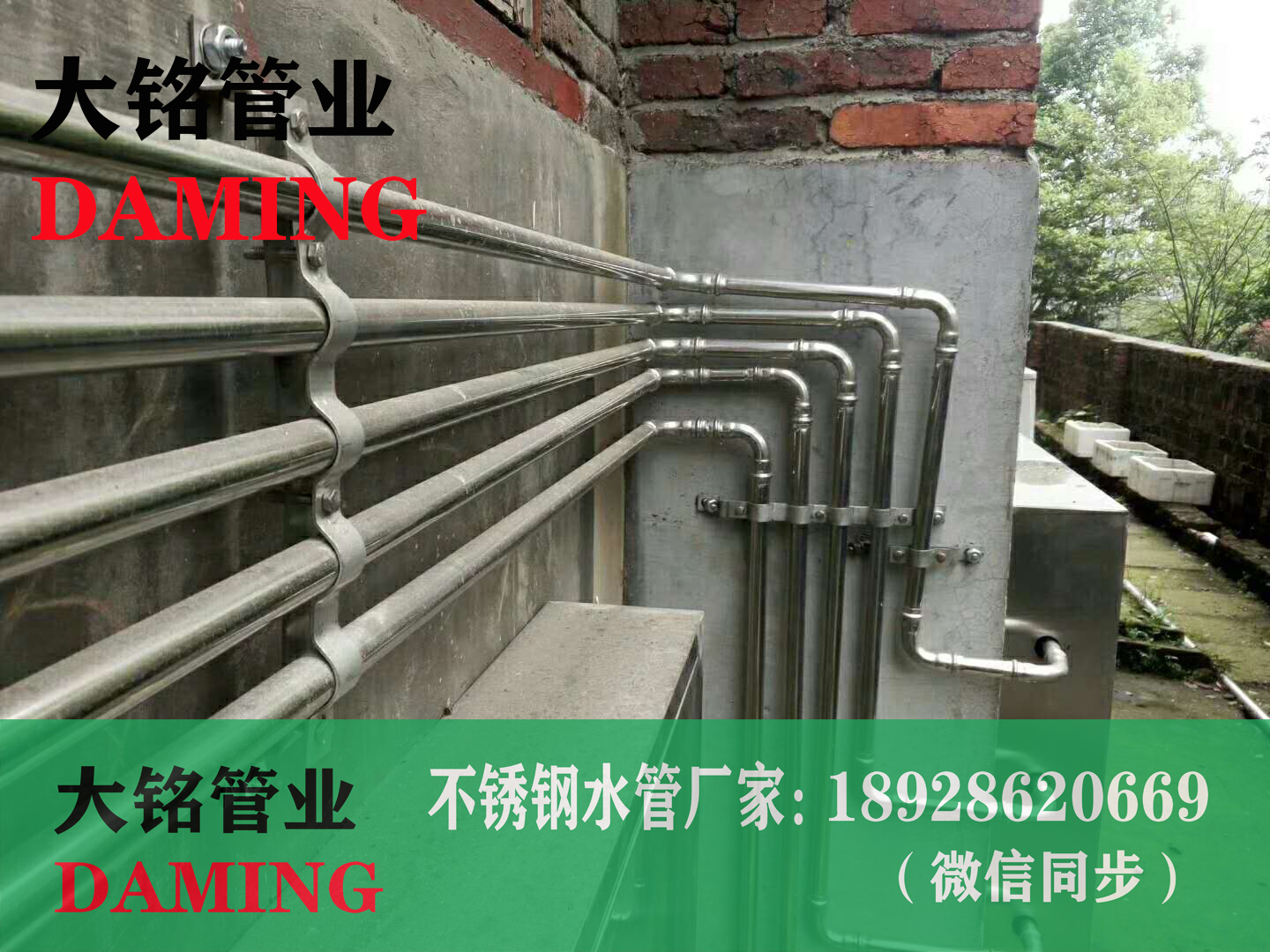 深夜18禁下载衛生級管